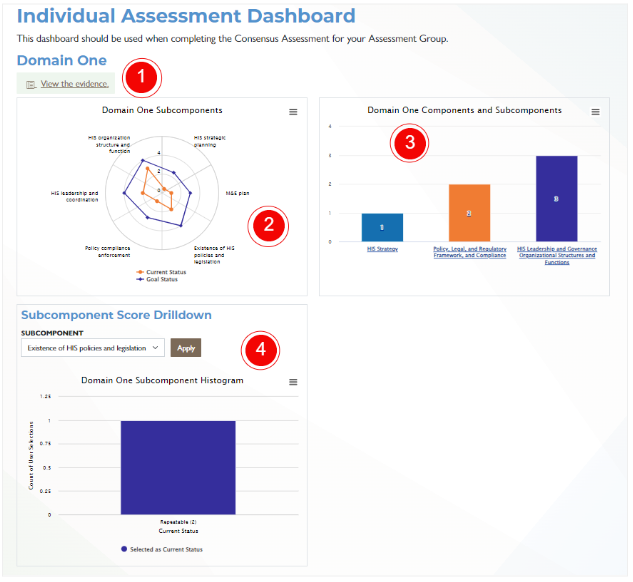 Individual Assessment Dashboard